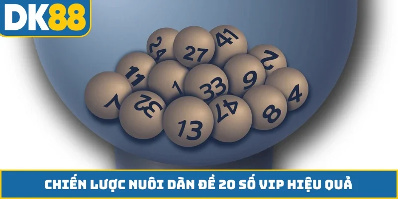 Chiến lược nuôi dàn đề 20 số VIP hiệu quả