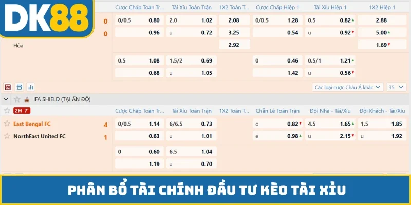 Phân bổ tài chính đầu tư kèo tài xỉu